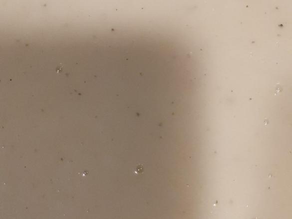 Weißes Cremesüppchen von der Schwarzwurzel