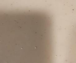 Weißes Cremesüppchen von der Schwarzwurzel