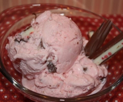 schnelles Schokoladen - Erdbeer - Joghurt - Eis