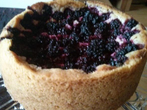 Kleiner Käsekuchen vegan mit Beerentopping