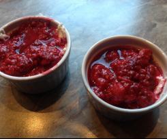 Kokos Quark mit Himbeeren fructosearm