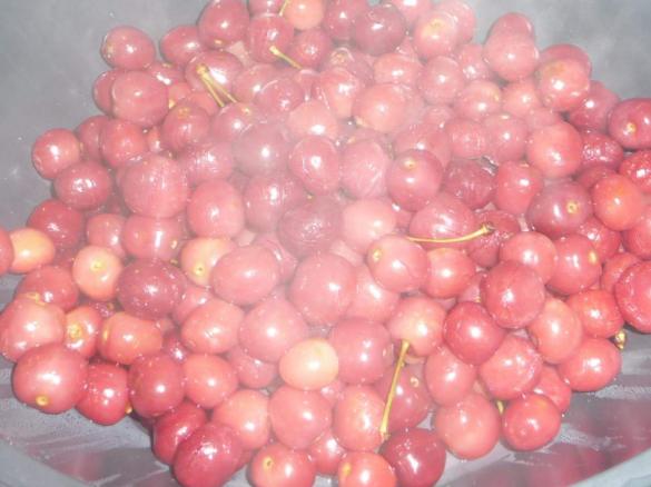 Entsaften - Obst, Beeren