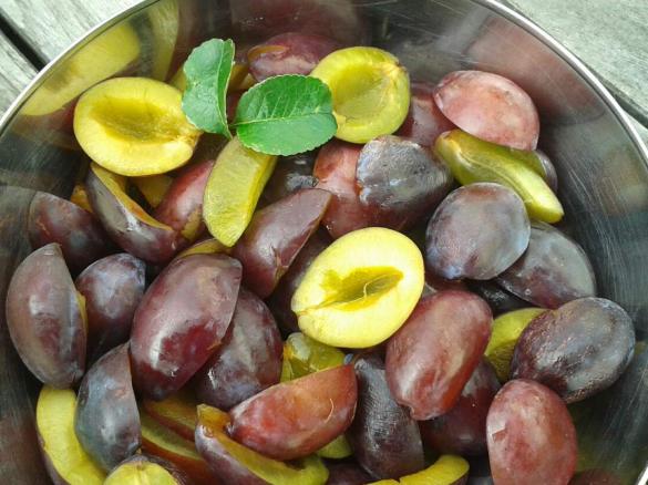 Zwetschgenkompott / Pflaumenkompott mit Marzipan