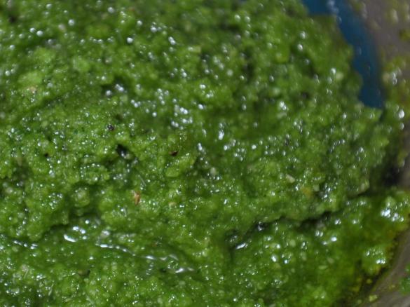Kräuterpesto