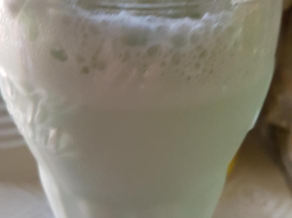 Nicoles leckerer Waldmeister Shake