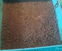 Amaranthkekse ohne backen,  zuckerfrei und mehlfrei