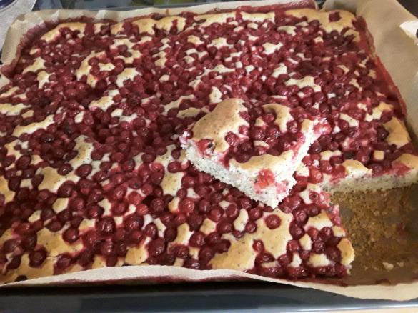 Johannisbeer-Mohn-Kuchen