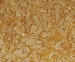 Butter-Zucker-Kuchen - schnell und lecker