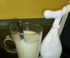 Eierpunsch mit Stevia Zucker * Punsch *