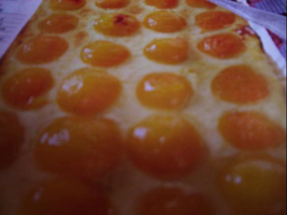 Quarkschnitten mit saftigen Aprikosen heisil98