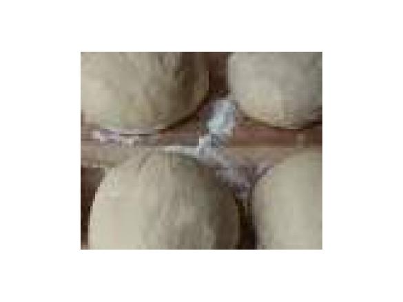 Original italienischer Pizzateig