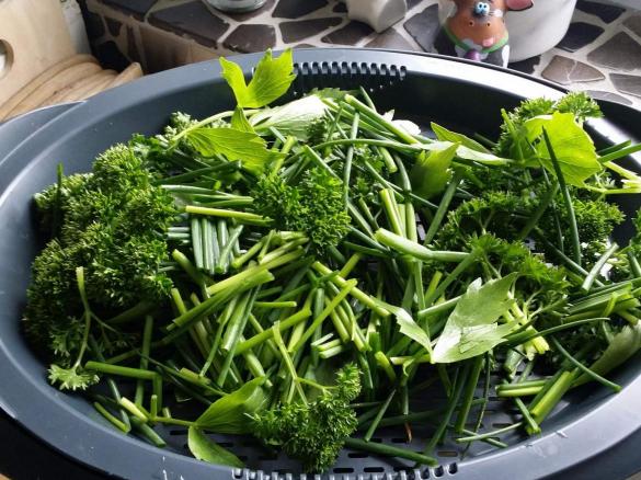 Cremige Zucchini-Karotten-Kräuter-Suppe mit Ziegenfrischkäse (MB-KONFORM)