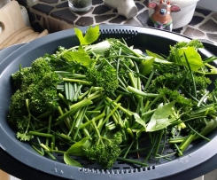 Cremige Zucchini-Karotten-Kräuter-Suppe mit Ziegenfrischkäse (MB-KONFORM)