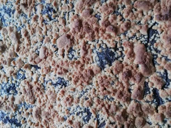 Veganer Mohnkuchen mit Streuseln (auch für Nichtveganer)