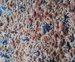 Veganer Mohnkuchen mit Streuseln (auch für Nichtveganer)