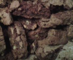Pistazien-Biscotti (Schoko-Cantuccini )