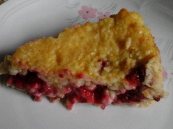 Reiskuchen vanille Milchreis Kuchen mit Himbeeren vegan 