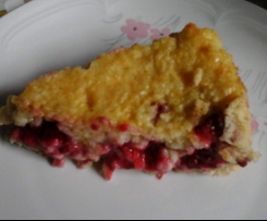 Reiskuchen vanille Milchreis Kuchen mit Himbeeren vegan 