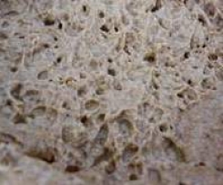 Sauerteig mit Dinkel