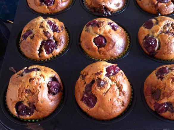 Kirschmuffin mit Schokostücken