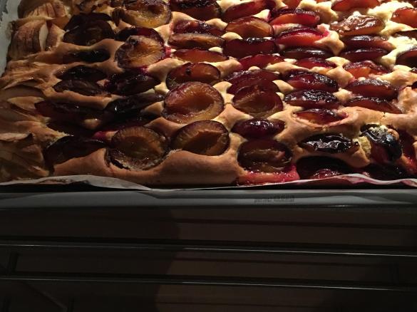 Pflaumenkuchen Weltklasse vom Blech