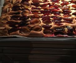 Pflaumenkuchen Weltklasse vom Blech