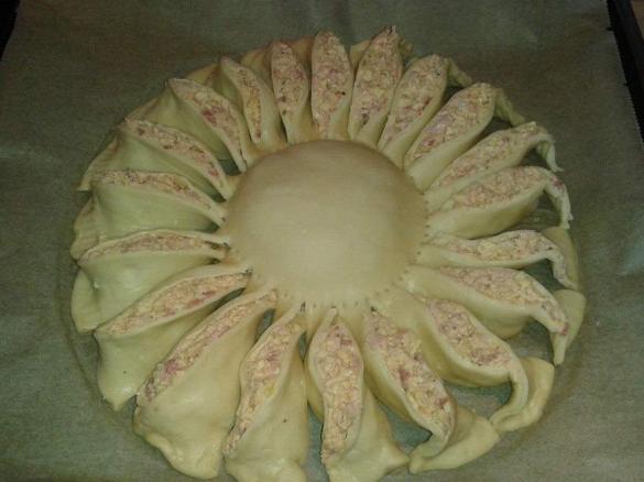 Variation von Pizzasonne