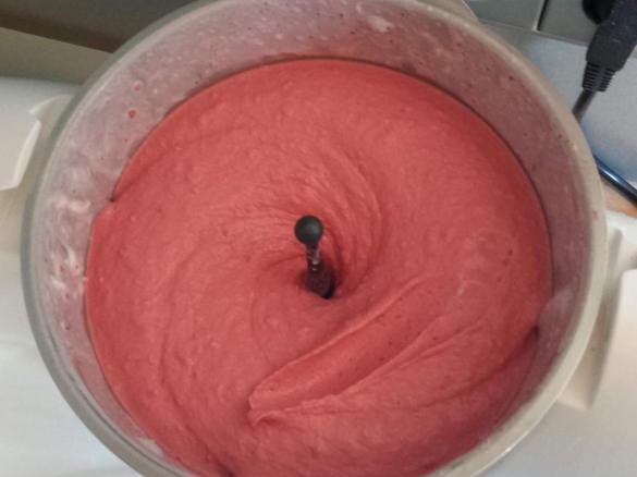 Früchte-Joghurt Eis