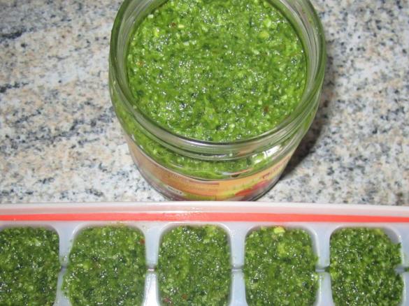 Bärlauch-Rucola-Pesto