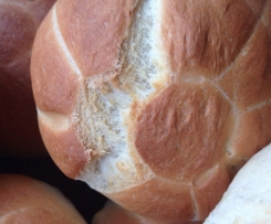 Leckere Sonntagsbrötchen / Brötchen 