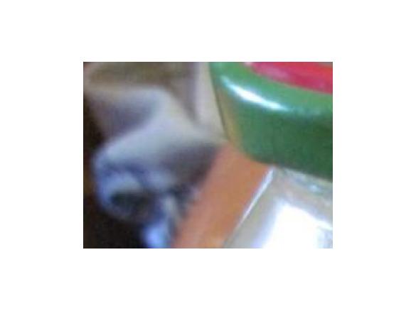 Apfelkompott mit Apfelstücken 