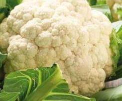 Blumenkohl Püree
