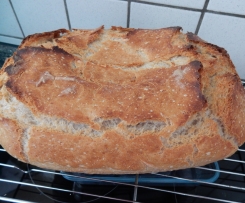 Friss dich dumm Brot