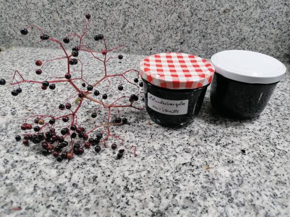 Holunderbeergelee mit  Vanille