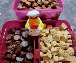 Biene's Toffifee Pralinen (auch für Raffaello und Giotto geeignet)