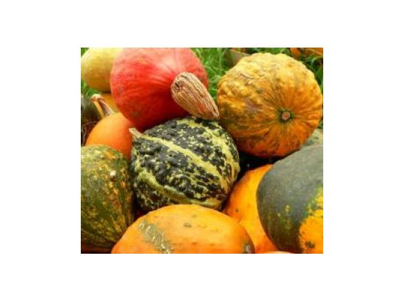 Fünf-Sterne-Kürbissüppchen