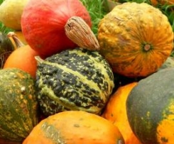 Fünf-Sterne-Kürbissüppchen