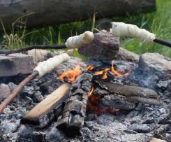 Herzhaft pikanter Stockbrot-Teig
