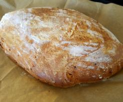 Zwiebelbrot aus dem Gärkörbchen