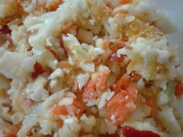 Fenchel-Karotte-Orangen Rohkostsalat