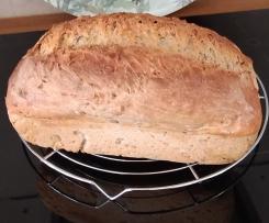 Sauerteig Brot mit Körnern