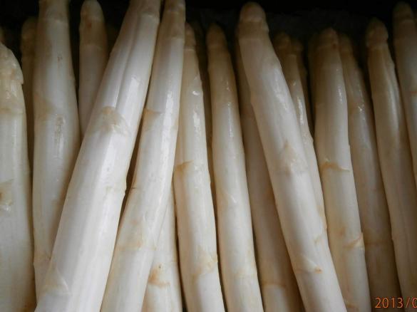 SPARGEL MANGO MARMELADE