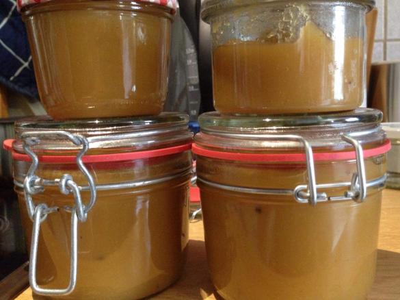 Apfelmus (sehr Zucker arm)