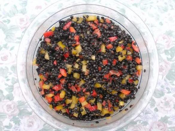 Deutschland Salat mit Belugalinsen WM2014