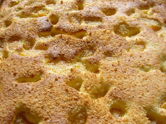 Obstkuchen mit Joghurt - super saftig