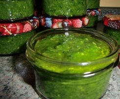 Pesto aus Bärlauch