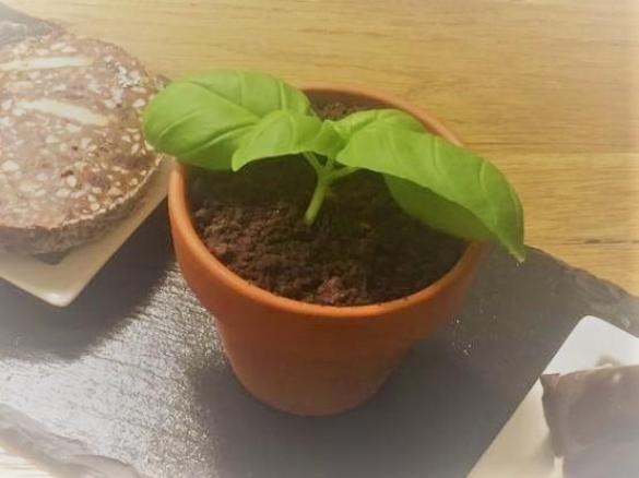 Schokopudding im Topf