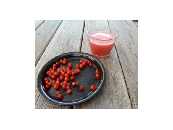 gladdy88: roter Johannisbeerlikör - schnell