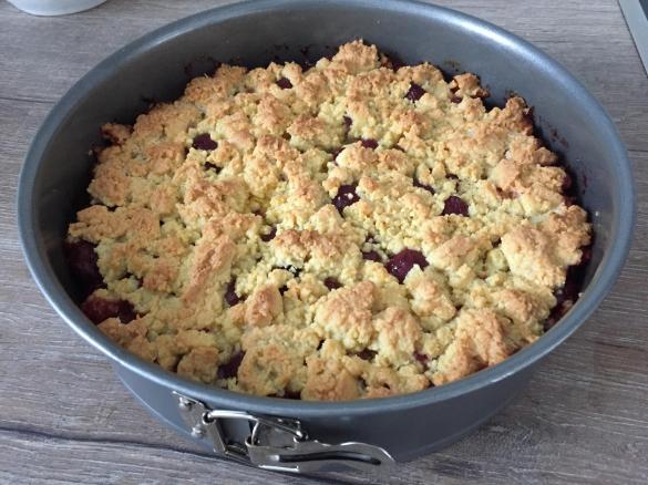 Pflaumen-/Kirschkuchen mit Streuseln