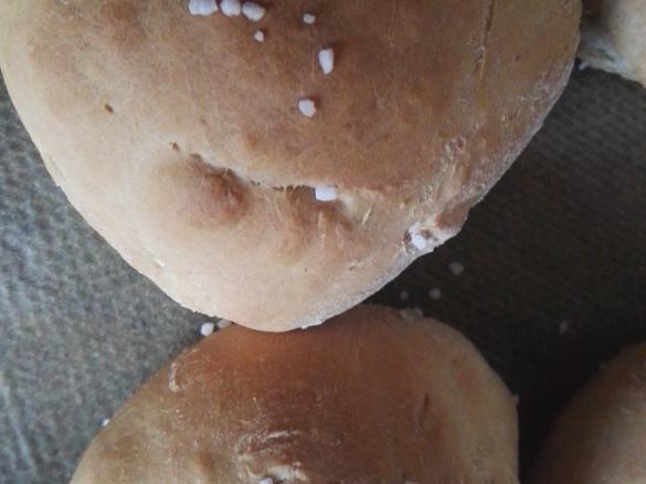 Weizen Dinkel Brötchen mit Salz Topping